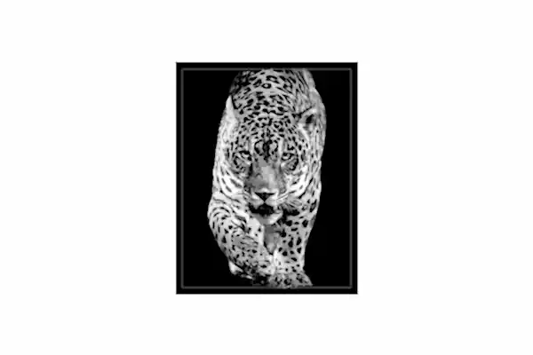 Cam Tablo MNG-UV 2323