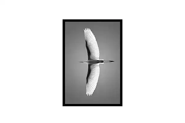 Cam Tablo MNG-UV 2380