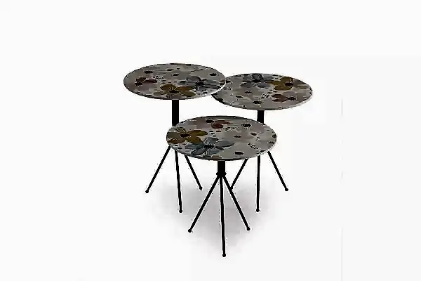 Flora Zigon Sehpa TB-570