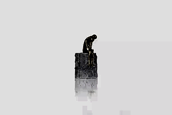 İkili Düşünen Adam - BYR04