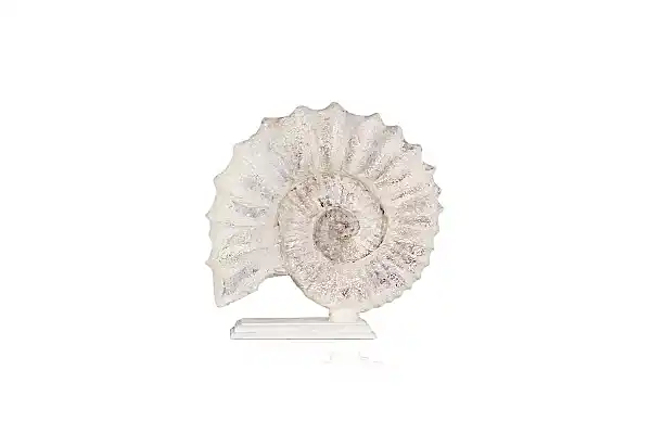 Salyangoz Dekor - BYR07